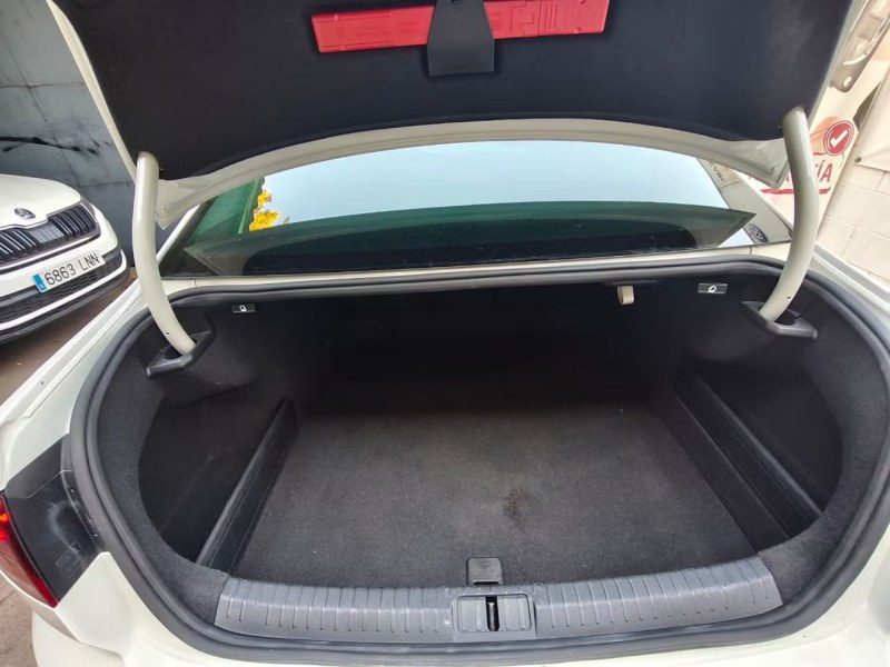 Volkswagen Passat Executive 2.0 TDI 110kW 150CV DSG